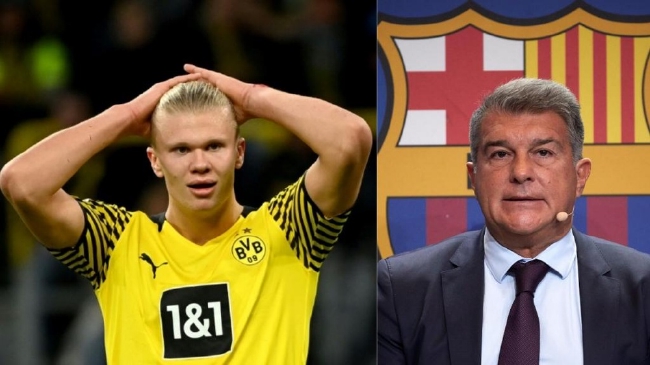 官方：浙江队长弗兰克赛季结束后离队，11月22日举行告别仪式（官宣：浙江队长弗兰克赛季末离队，将于11月22日举办告别仪式）